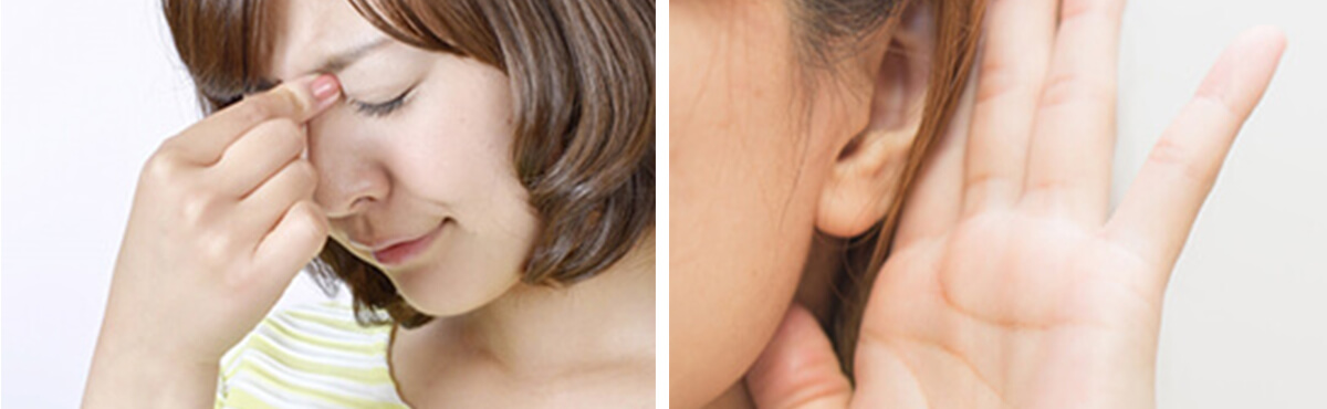 耳鼻咽喉イメージ